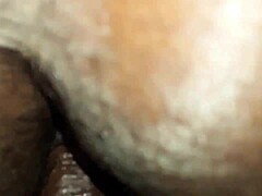 O imagine de aproape a unui anus păros al unei femei grase care este umplut cu un penis mare negru